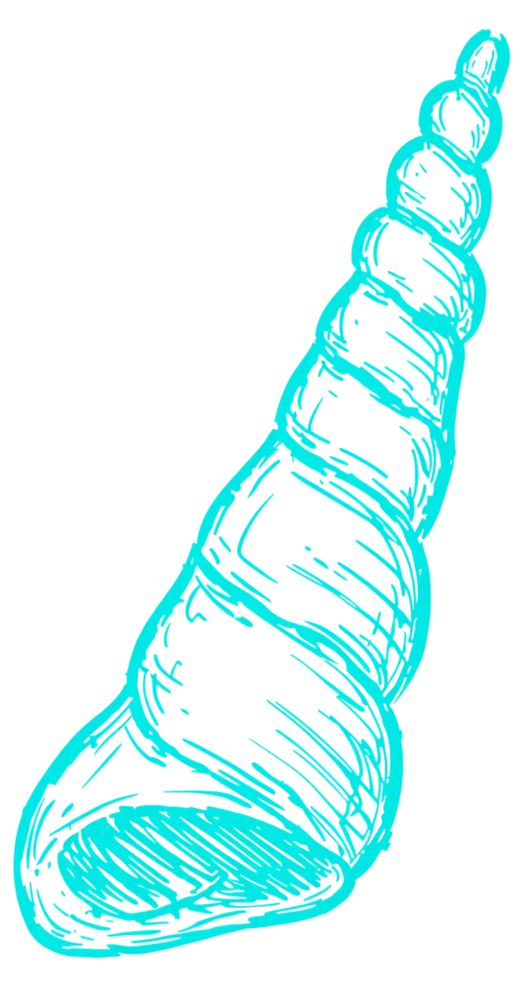 Illustration of a blue spiral seashell on a white background.