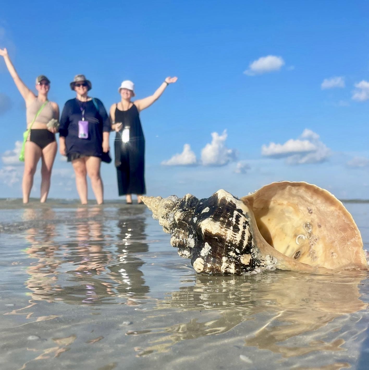 Three people standing on wet sand near a large seashell with blue sky background.