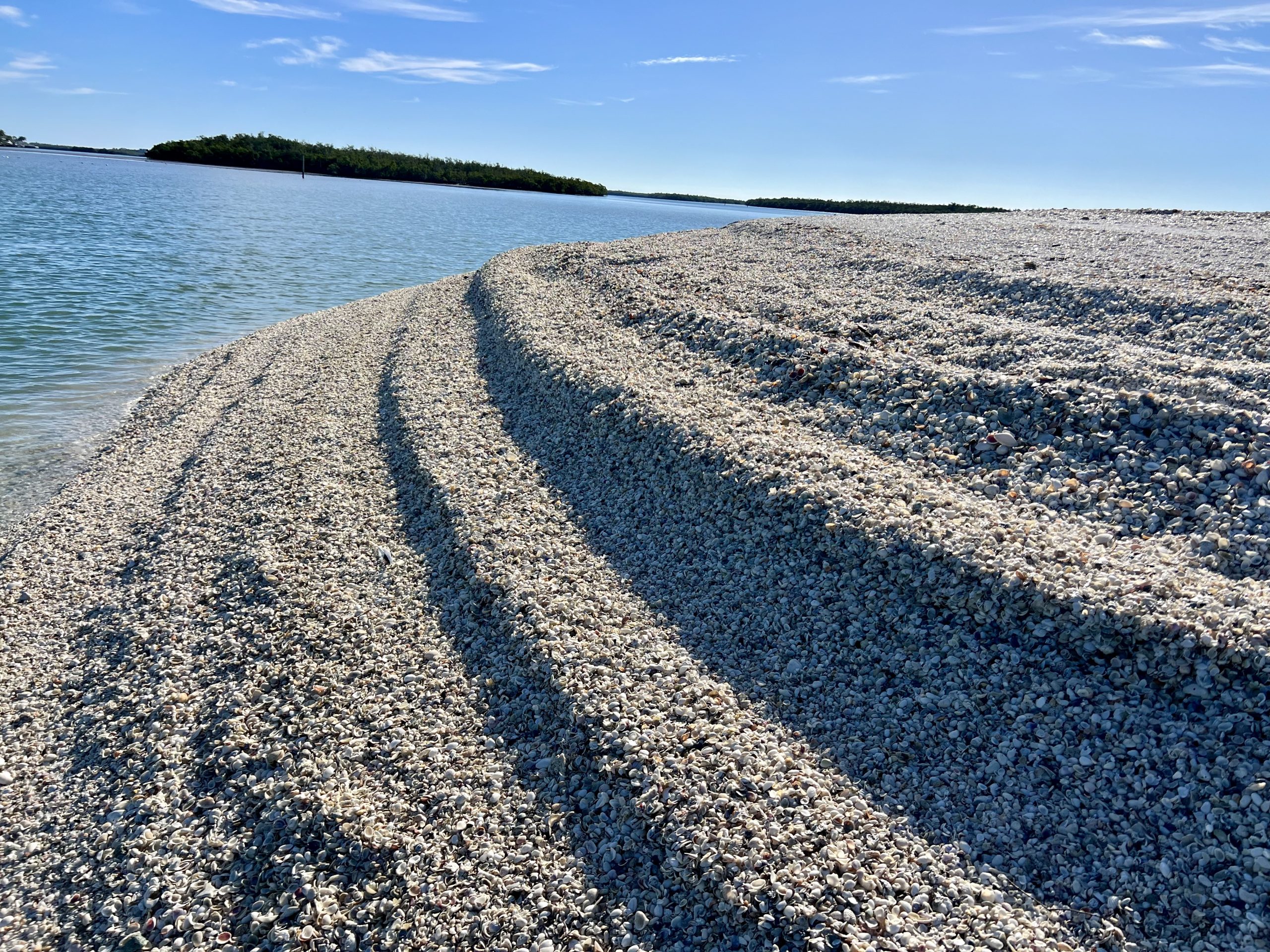 Shell-covered beach with clear blue water and sky in the background.