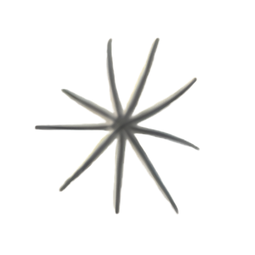 A simple eight-pointed star shape on a white background.