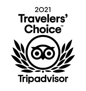2021 Travelers' Choice Tripadvisor Award Logo with owl icon.