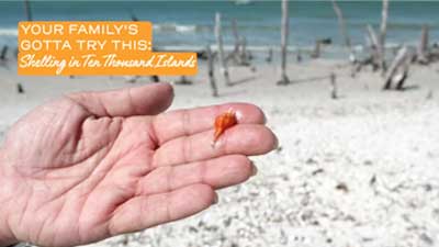 A hand holding a small sea shell from the "Your Family's Gotta Try This" video.