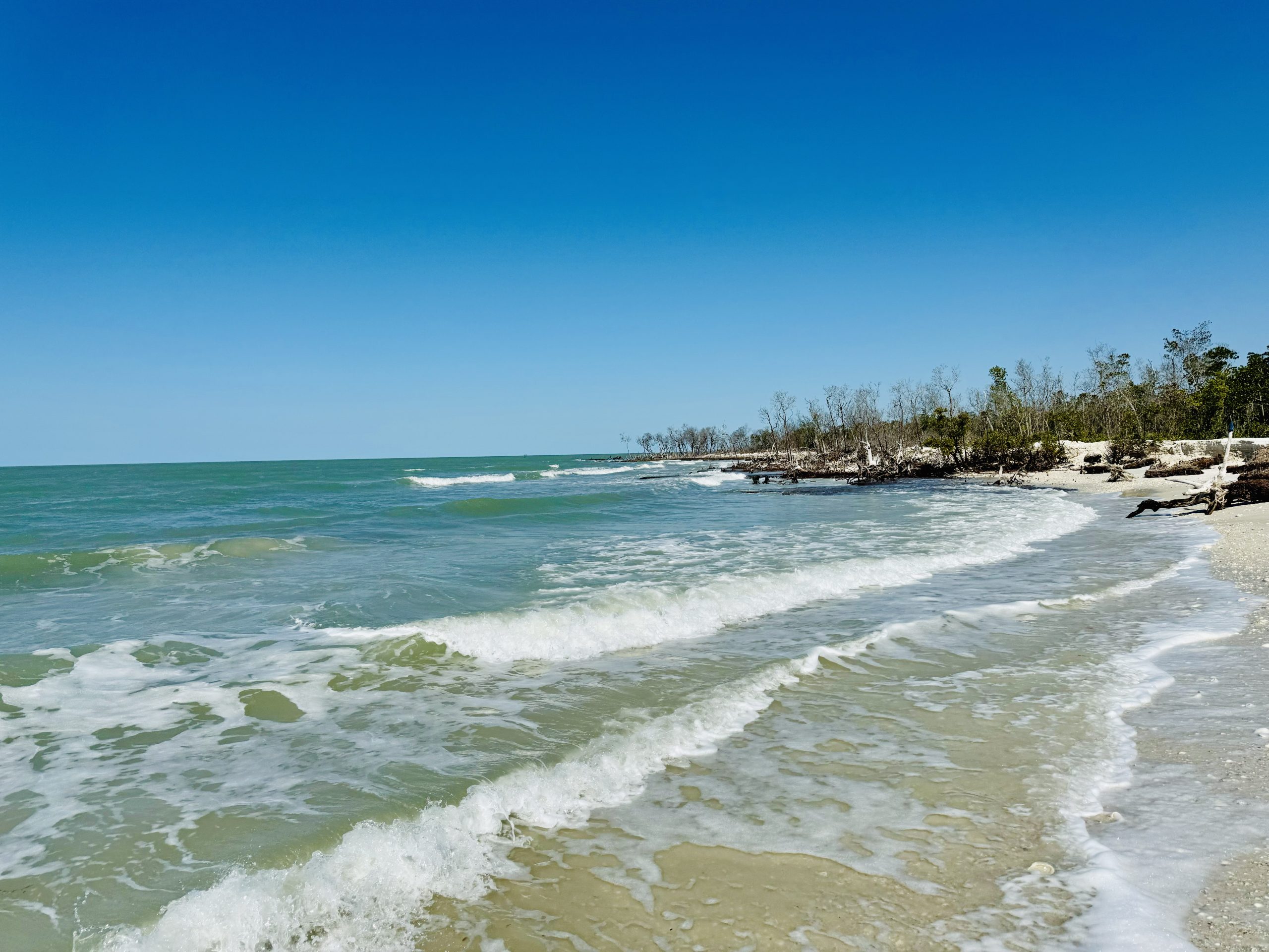 Morgan Island Beach in the Ten Thousand Islands