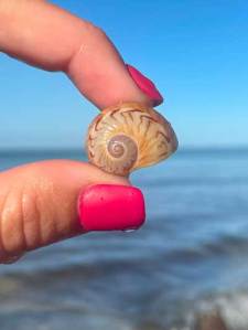 Hand with pink nails holding a small seashell by the ocean.