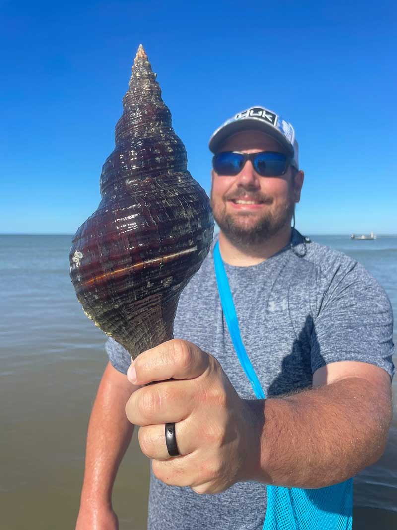 Large conch shell on driftwood by the ocean with waves crashing.
