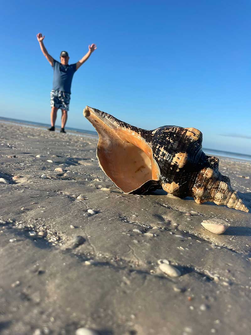 A large seashell resting on a surface with trees and sky in background.