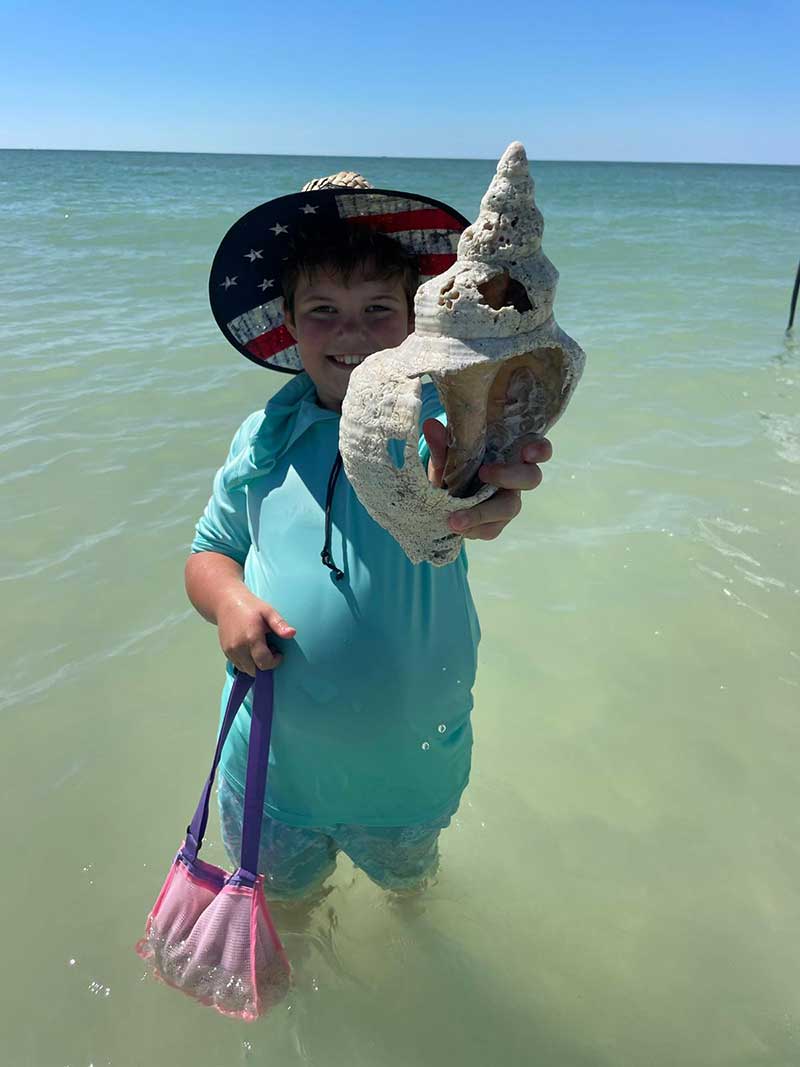 Person holding a large, weathered seashell on a beach.