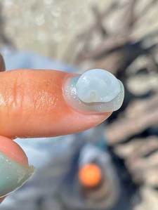 Tiny translucent sea snail on a person's fingertip.