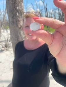 Person holding a small white object, standing on a sandy beach with driftwood trees.