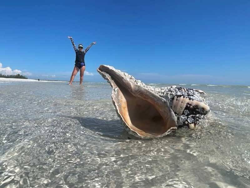 The Best Seasons for Shelling on Marco Island: A Comprehensive Guide
