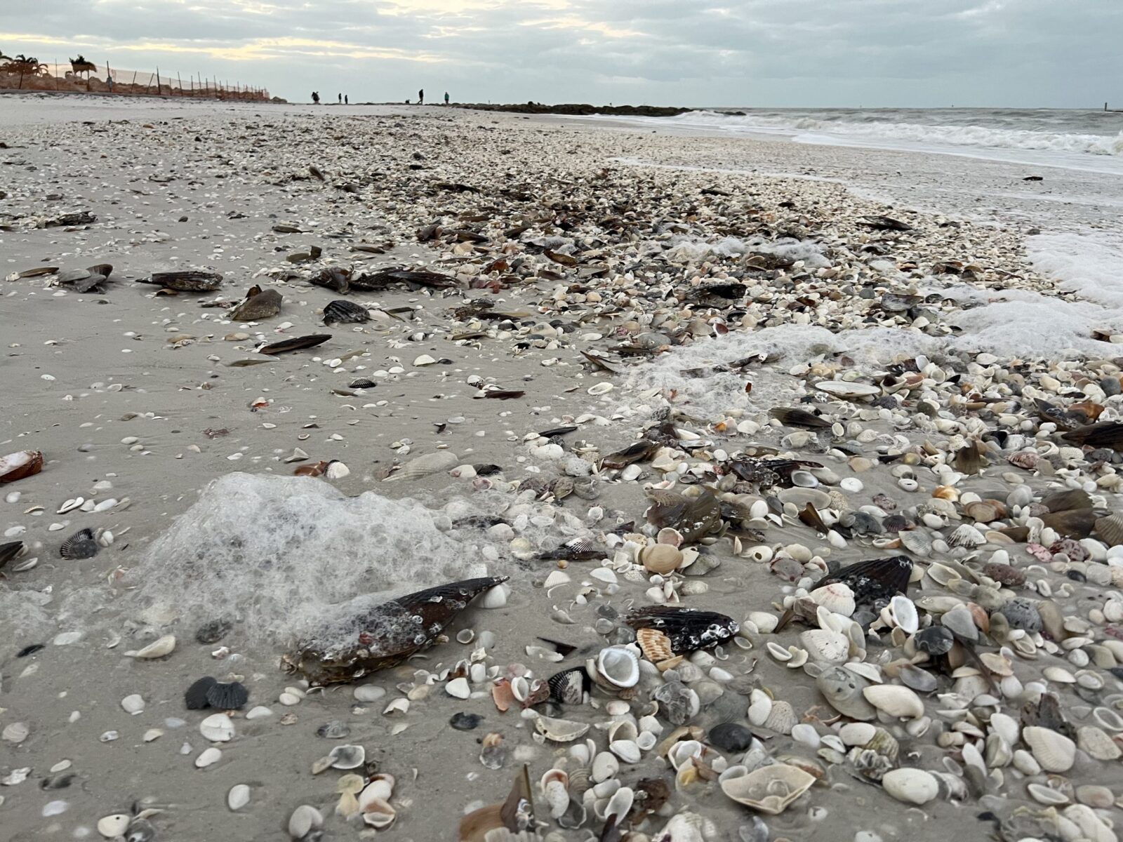 Shell-covered beach with foamy waves and distant people under cloudy sky.