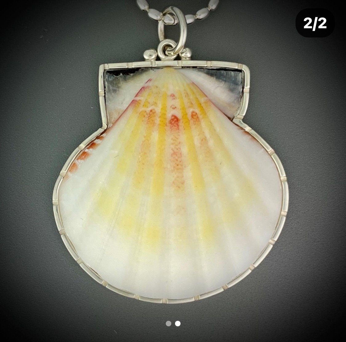 Scallop shell pendant with a silver border on a gray background.