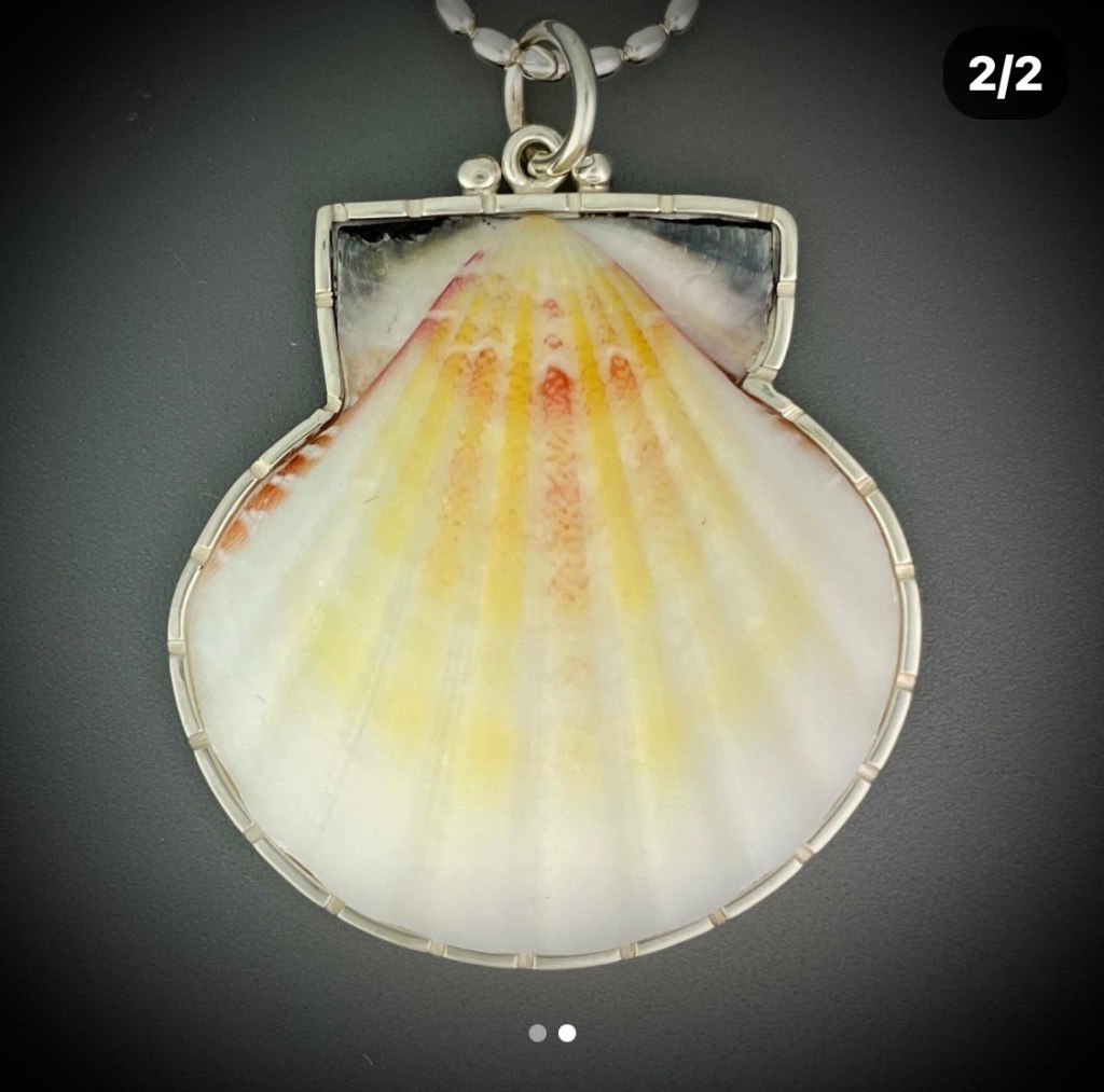 Crafting Treasures: A Shelling Journey with Barbara Umbel