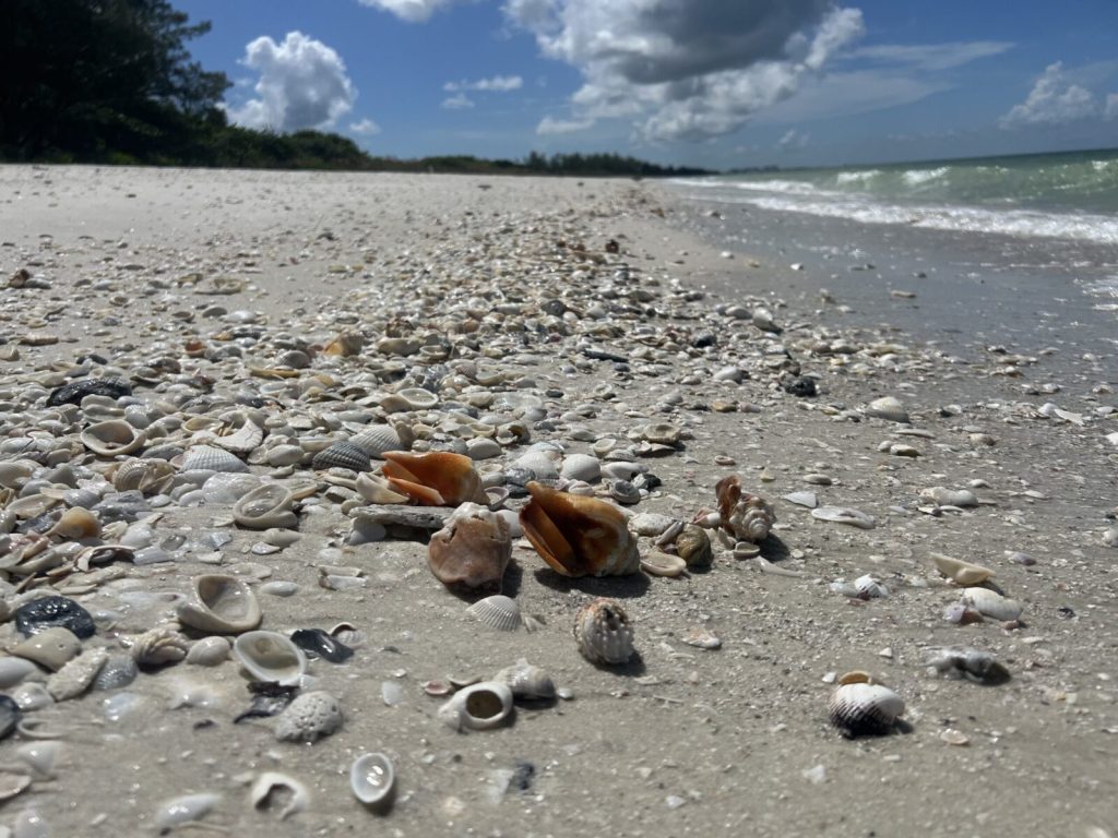 Keewaydin Island: Unveiling a Hidden Gem in the Ten Thousand Islands