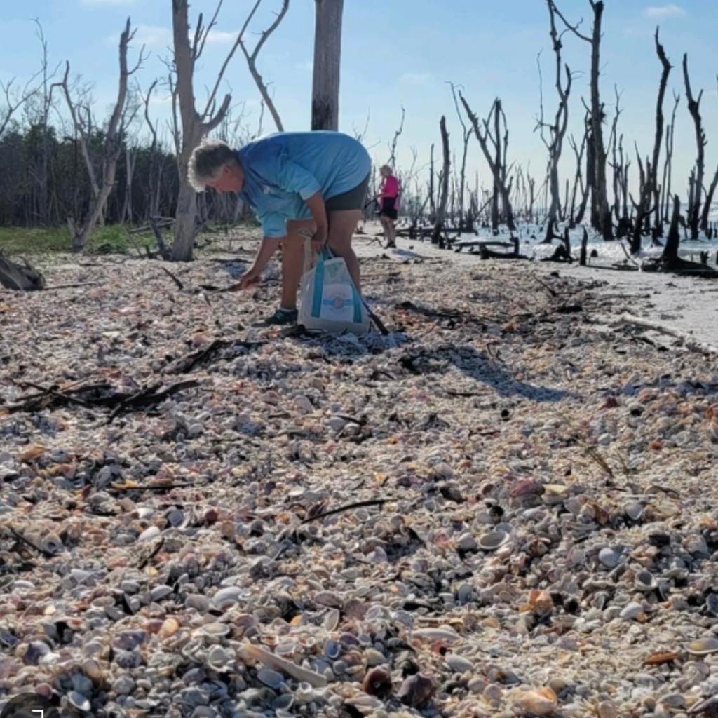 Unlocking the Treasures of Marco Island. A Shelling Expert’s Guide
