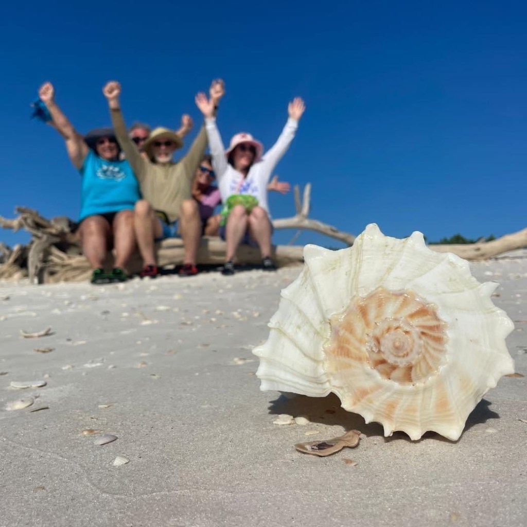 The Wondrous World of Southwest Florida’s Lightning Whelk