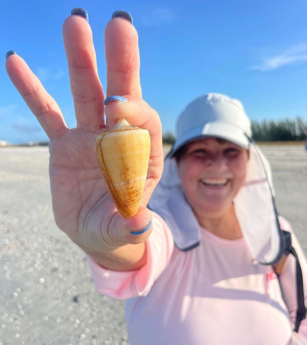 A Rare Golden Banded Cone