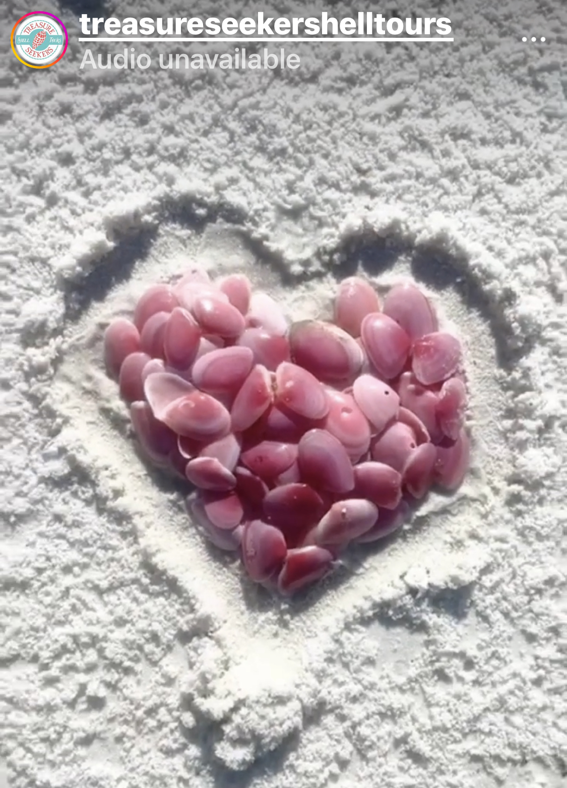 Pink shells arranged in a heart shape on sandy beach.