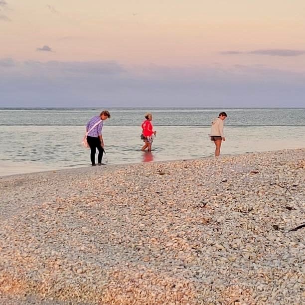 Top 5 Tips for Summer Shelling in Southwest Florida: Discover Hidden Treasures!