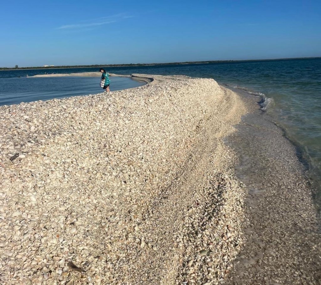 The History of Shelling in Florida: From Ancient Tools to Treasured Pastime