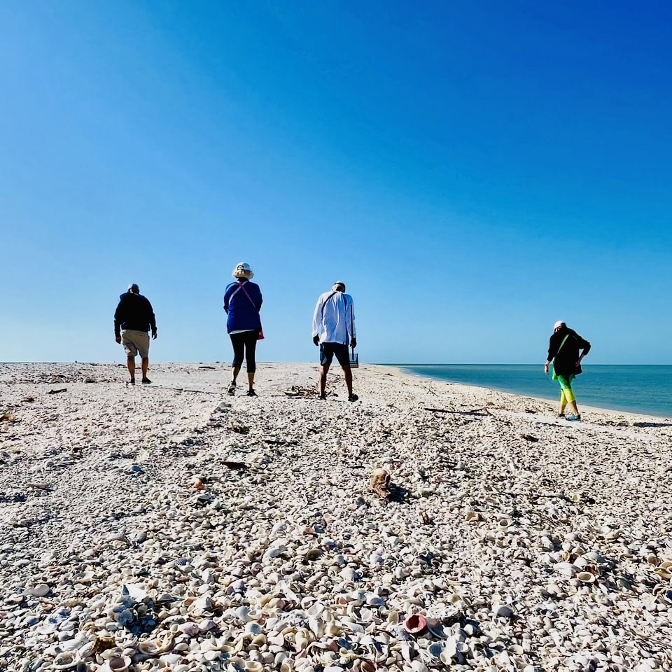 Four people walking on a rocky beach under clear blue sky.