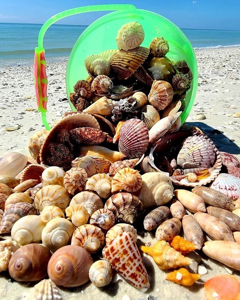 Various seashells spilling from a green bucket on a sunny beach.