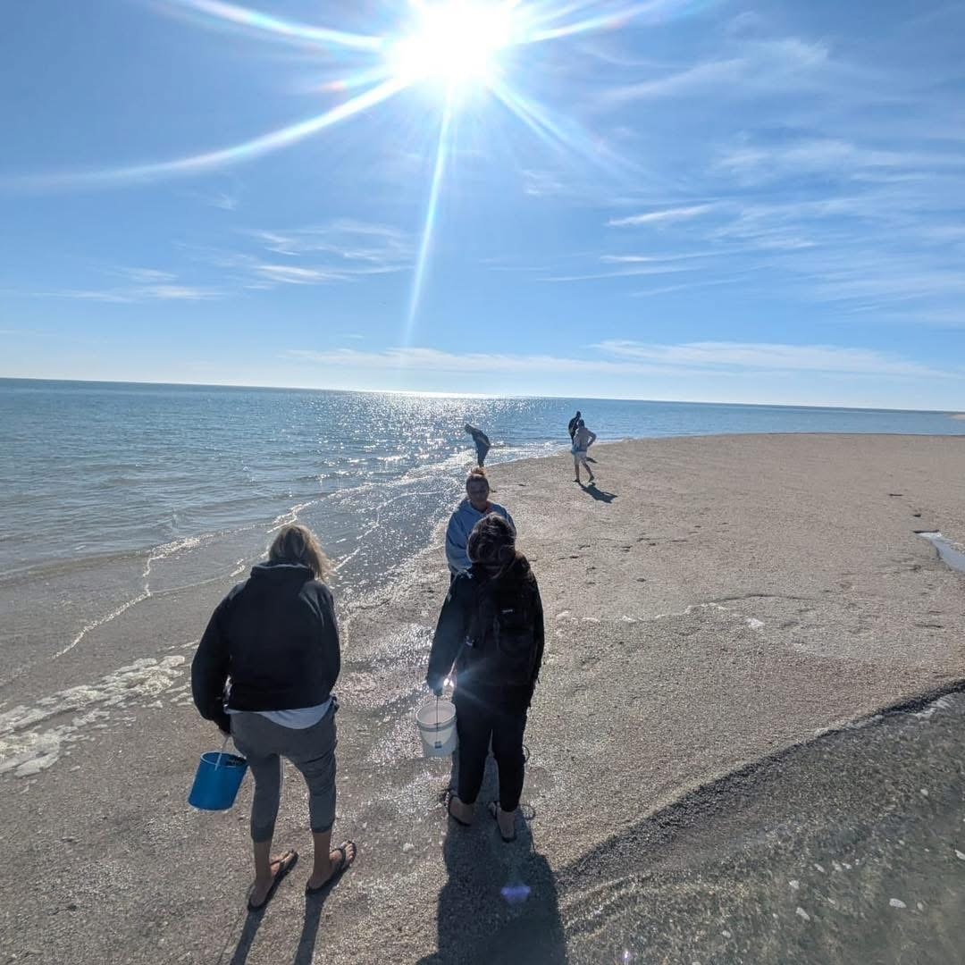 People walking on sunny beach with clear blue sky.