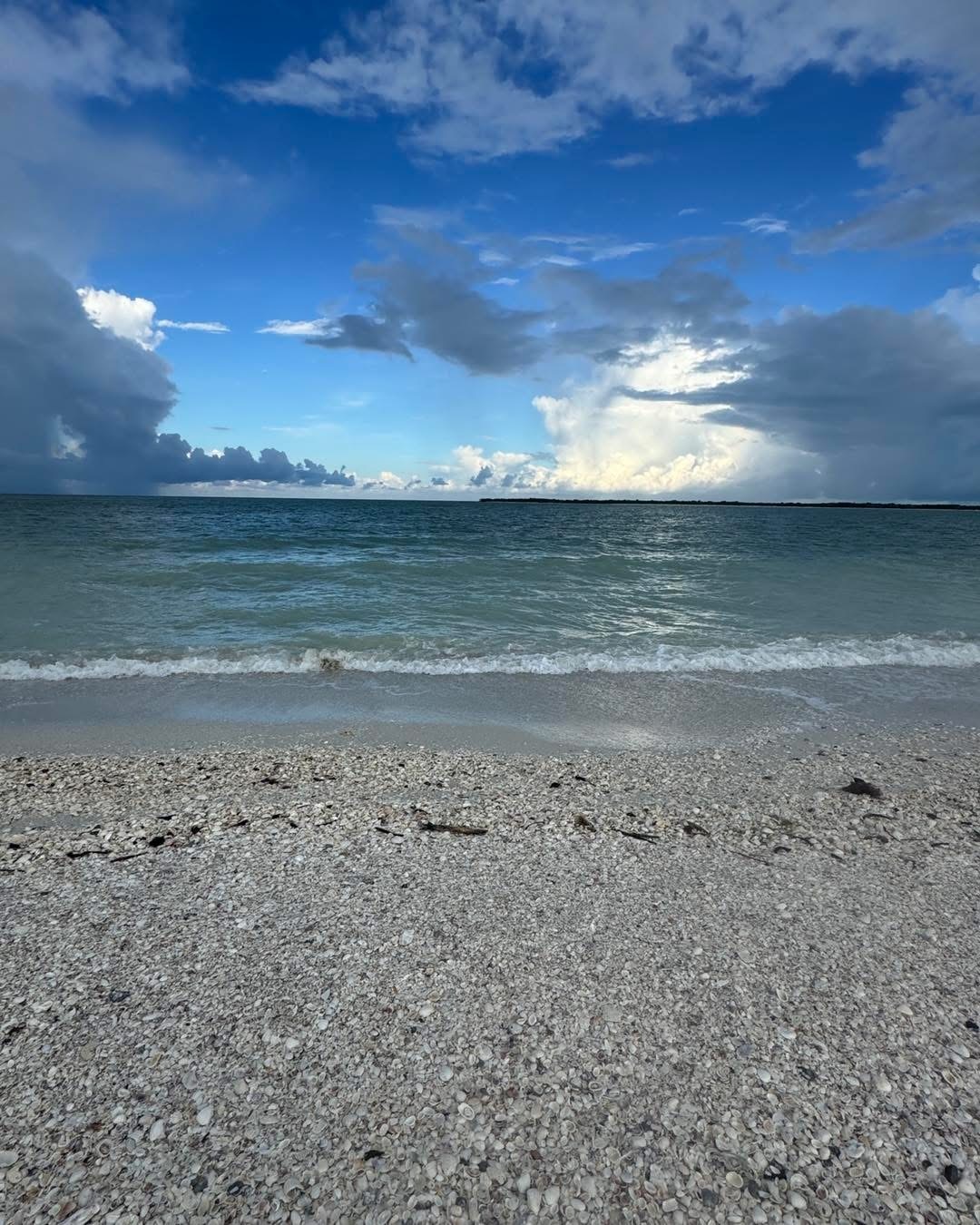 Shell-covered beach with waves and cloudy sky over the ocean.