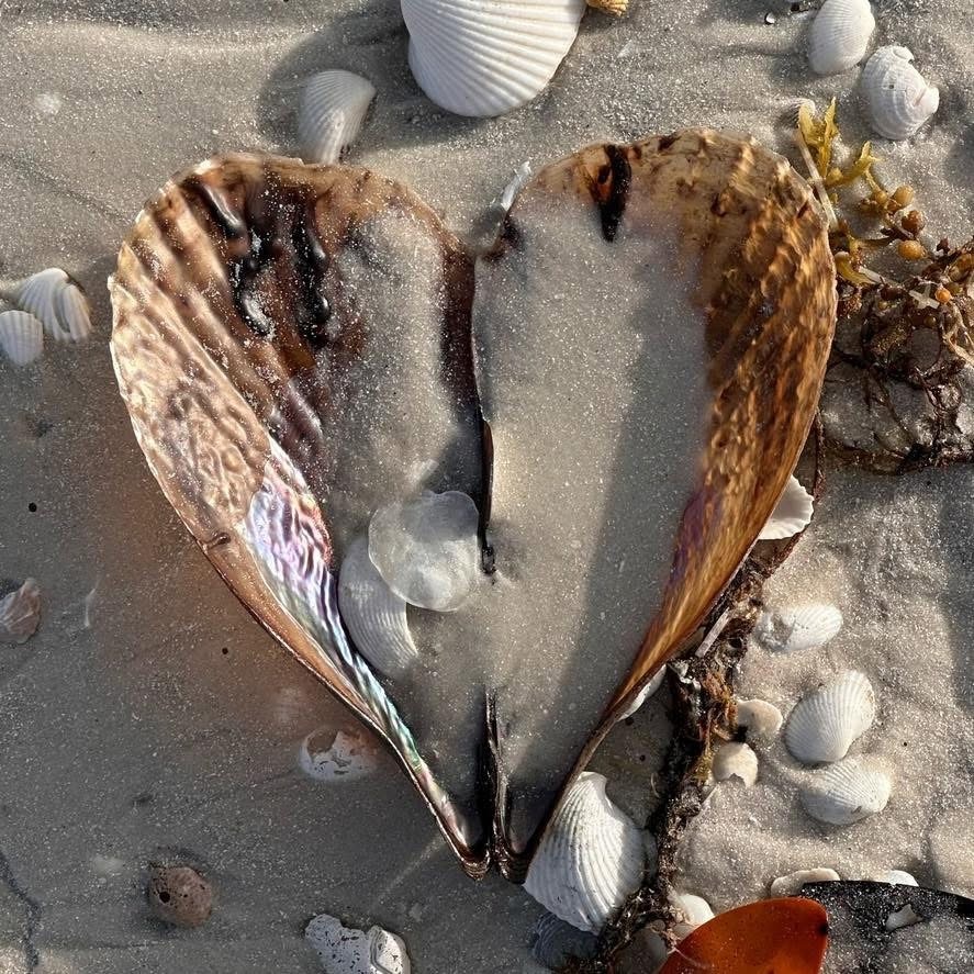 Heart-shaped seashell surrounded by smaller shells on sandy beach.