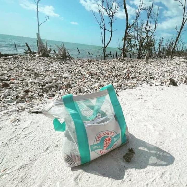 Mesh bag with shells on a sandy beach near the sea and driftwood.