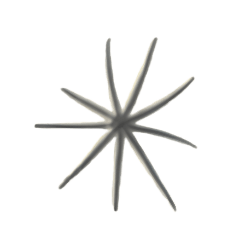 A simple eight-pointed star shape on a white background.